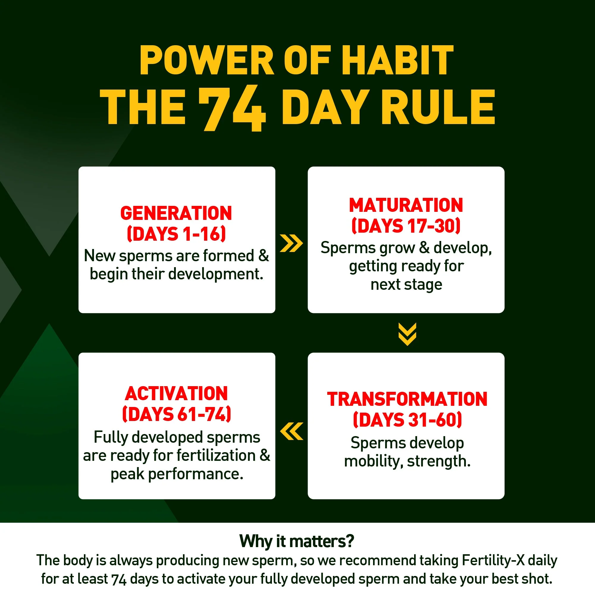 Man Extend Fertility-X : Advanced Male Fertilty and Reproductive Health - Peach - Image 3